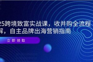 2025跨境致富实战课，收并购全流程拆解，自主品牌出海营销指南