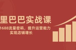阿里巴巴实战课：掌握1688流量密码，提升运营能力，实现店铺增长
