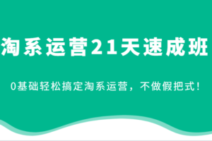 淘系运营21天速成班，0基础轻松搞定淘系运营，不做假把式！（更新）