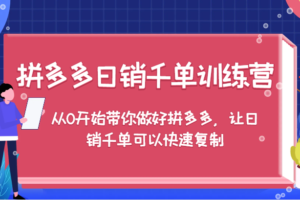 拼多多日销千单训练营，从0开始带你做好拼多多，让日销千单可以快速复制（更新）