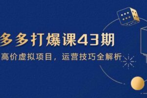 拼多多打爆课第 43 期，掌握高价虚拟项目，运营技巧全解析（15节）