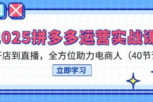 2025拼多多运营实战课，从开店到直播，全方位助力电商人（40节课）