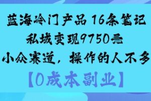 蓝海冷门产品：16条笔记私域变现9750米小众赛道，操作的人不多