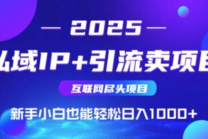 （15532期）2025网创尽头项目，私域IP+引流，新手小白也能在家日入1000+