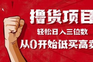 （16315期）手把手教你撸货，从0开始低买高卖，小白轻松实现日入三位数!!!