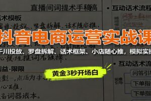 抖音电商运营实战课:千川投放、罗盘拆解、话术框架、小店随心推,模拟实操