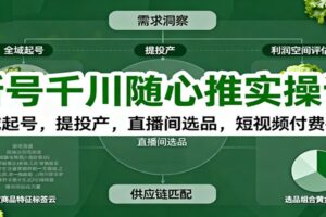 新号千川随心推实操课:全域起号,提投产,直播间选品,短视频付费拉爆