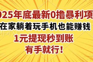 (16419期)2025年底最新0撸暴利项目,在家也能躺赚,1元秒提现,有手就行!