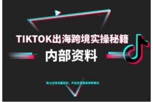 TikTok跨境电商0-1搭建运营,TK出海跨境实操秘籍(10月更新)