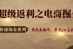 快递淘金系列；超级返利之电商掘金1.0，零成本操作，单号20+支持多号