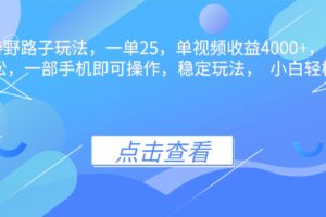 （16446期）抖音手游野路子玩法，一单25，单视频收益4000+，日入几千轻轻松松，一…