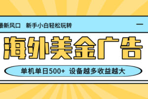 (16454期)最新蓝海项目,海外美金广告,单机单日500+,可矩阵放大,设备越多收益…