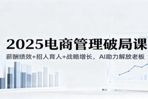 2025电商管理破局课：薪酬绩效+招人育人+战略增长，AI助力解放老板（录音）