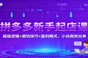 拼多多新手起店课：底层逻辑+避坑技巧+盈利模式，小白高效出单