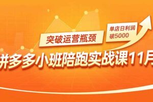 （16654期）拼多多小班陪跑实战课11月，强付费矩阵、原价活动、暗券引流，突破运营瓶颈，单店日利润破5000