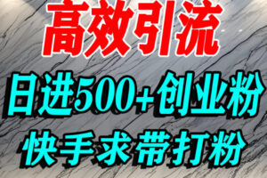 怎么打创业粉？快手求带视角精准引流创业粉，宝妈、学生群体日进500+精准流量
