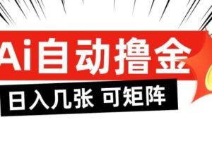 AI自动撸金，日入几张，全自动不占用时间，可矩阵批量放大操作【揭秘】