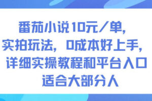 番茄小说10米每单，实拍玩法，0成本好上手，详细实操教程和平台入口适合大部分人