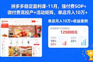 （16558期）拼多多稳定盈利课-11月，强付费SOP+微付费高投产+活动矩阵，单店月入10w+