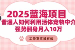（16489期）2025蓝海项目：普通人如何利用活体宠物中介，强势翻身月入10万