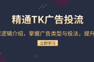 精通TK广告投流：底层逻辑介绍，掌握广告类型与投法，提升效果