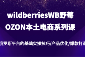 wildberriesWB野莓/OZON本土电商系列课，俄罗斯平台的基础实操技巧/产品优化/爆款打造