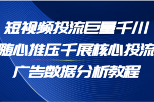短视频投流巨量千川随心推压千展核心投流广告数据分析教程（65节）