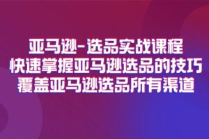 亚马逊选品实战课程，快速掌握亚马逊选品的技巧，覆盖亚马逊选品所有渠道