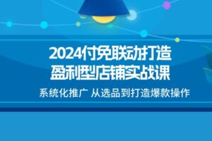 2024付免联动打造盈利型店铺实战课，系统化推广 从选品到打造爆款操作