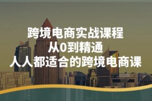 跨境电商实战课程：从0到精通，人人都适合的跨境电商课（14节课）