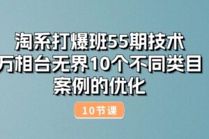 淘系打爆班55期技术：万相台无界10个不同类目案例的优化（10节）