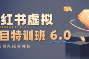 小红书虚拟项目特训课6.0，帮你从0到1打造稳定盈利的店铺，抓住流量红利