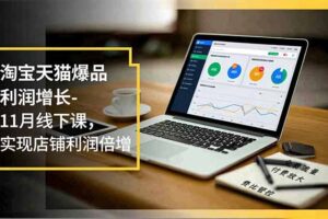 （16824期）淘宝天猫爆品利润增长-11月线下课，免费流量、付费放大、费比管控，实现店铺利润倍增