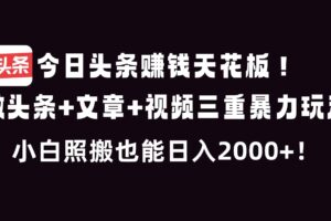 （16888期）今日头条赚钱天花板！微头条+文章+视频三重暴利玩法，小白照搬也能日人2000+