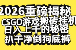 （16904期）2026开年重磅解密，CSGO游戏搬砖挂机日入上千的秘密，毫无保留