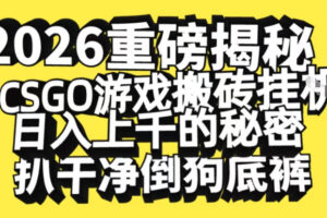 2026开年重磅解密，CSGO游戏搬砖挂G日入1k+的秘密，把倒狗的底裤扒干【揭秘】