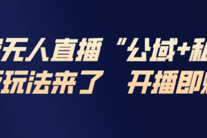 （17098期）淘宝无人直播最新玩法，包含私域和公域两种玩法