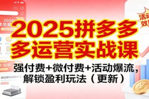 2025拼多多运营实战课：强付费+微付费+活动爆流，解锁盈利玩法（更新）