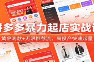 拼多多暴力起店实战课：黄金测款+无限推荐流，高投产快速起量