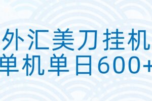 外汇美刀挂机：全自动挂机赚美金，单机600+