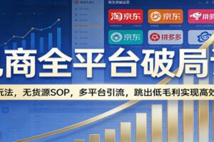 电商全平台破局课：全域玩法，无货源SOP，多平台引流，跳出低毛利实现高效盈利