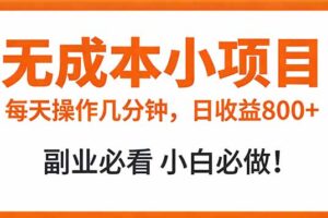 （17307期）无成本小项目 每天操作几分钟，真实日收益800+ 副业必看 小白必做！