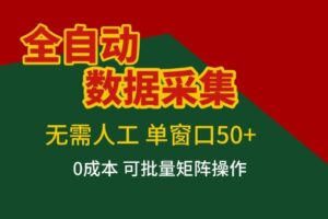 全自动数据采集项目，无需人工，单窗口可达50+收益，操作简单无难度，一个人也能轻松实现矩阵【揭秘】