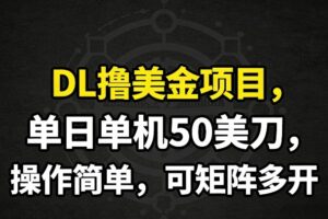 DL撸美金项目，单日单机50美刀，操作简单，可矩阵多开