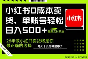 （17462期）小红书0成本AI卖货，单账号轻松日入500+，完全托管AI，可矩阵放大