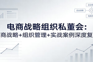 电商战略组织私董会：电商战略+组织管理+实战案例深度复盘