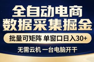 全自动电商数据集掘金，批量可矩阵，单窗口日入30+，无需云机，一台电脑开干【揭秘】