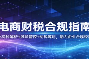 电商财税合规指南：全税种解析+风险管控+纳税筹划，助力企业合规经营