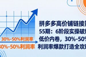 （17698期）拼多多高价铺链接第55期：6阶段实操破解低价内卷，30%-50%利润率爆款打造全攻略