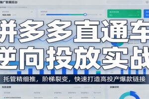 拼多多直通车逆向投放实战：托管精细推，阶梯裂变，快速打造高投产爆款链接